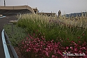 VBS_9684 - Parco Pensile Lingotto